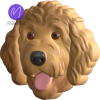 3D Goldendoodle Freshie STL Mold Housing - Mold2Molds