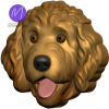 3D Goldendoodle Freshie STL Mold Housing - Mold2Molds